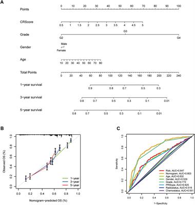 Prognostic Value and Therapeutic Perspectives of CXCR Members in the Glioma Microenvironment